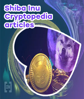 Crypto shiba