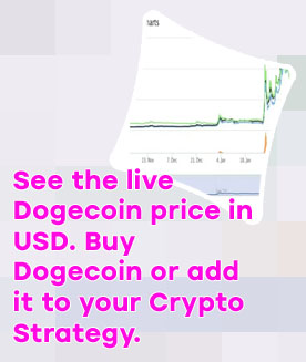Dogecoin value usd