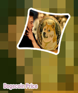 How much is one dogecoin